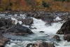 Tanya Riseman ~ Great Falls in Fall