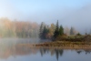 Dennis Freeman ~ Fall Morning in the Adirondacks